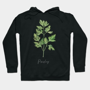 Parsley herb illustration. Hoodie